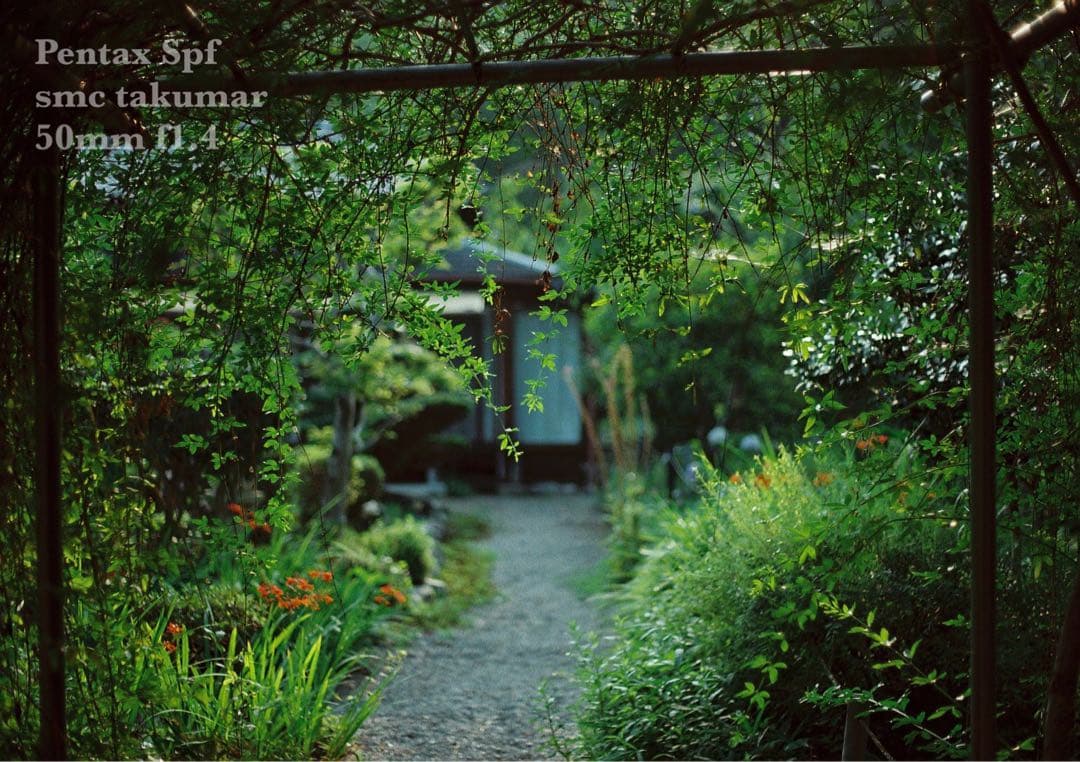 フルセット!完動品＊美品＊pentax spf&f1.4★作例多数★初期保証