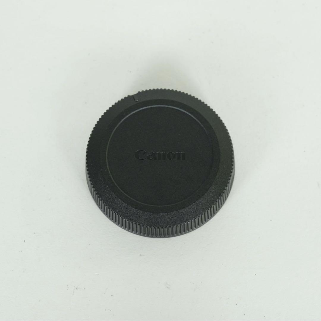 その他 Canon RF 14-35mm F4 L IS USM
