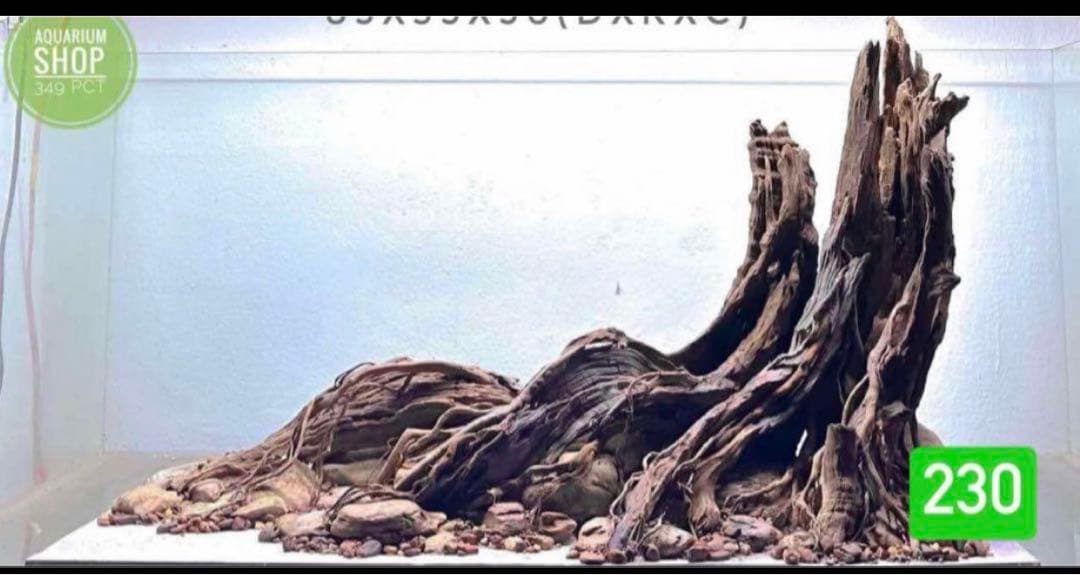 TTD 230【⭐︎ にぃに様⭐︎】【美品・数量限定】