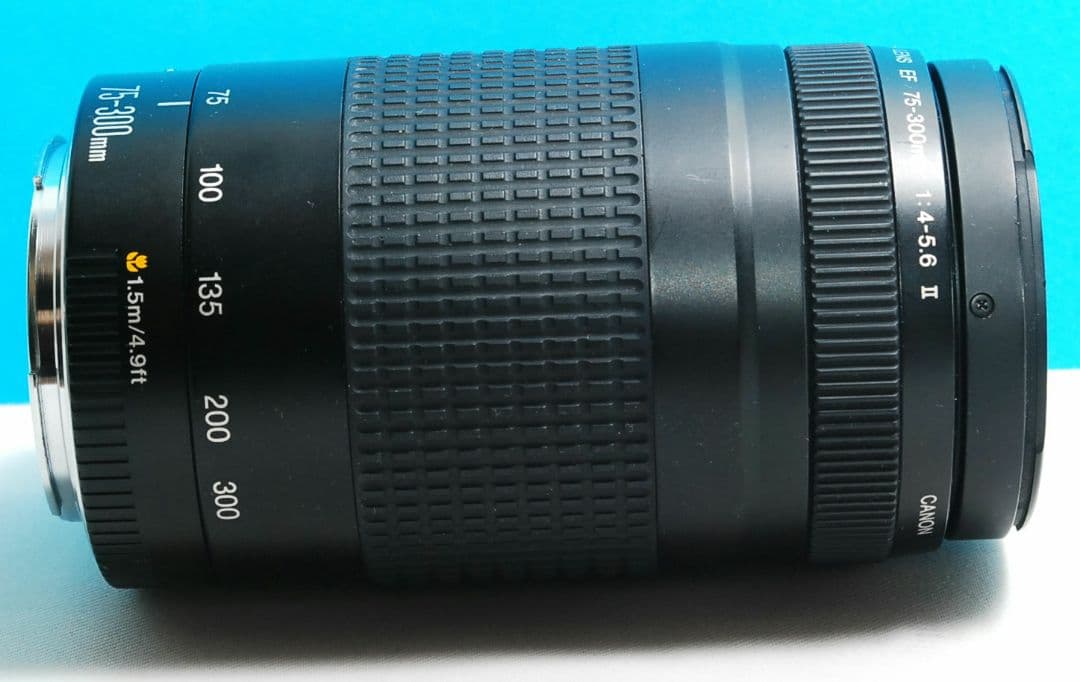 CANON 75 300 Ⅱ レンズ　送料無料