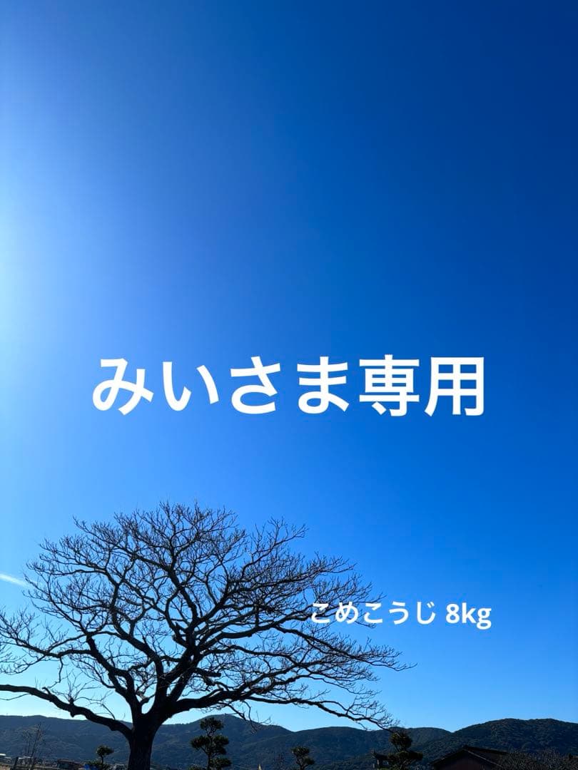 【 みいさま専用 】 こめこうじ 8kg