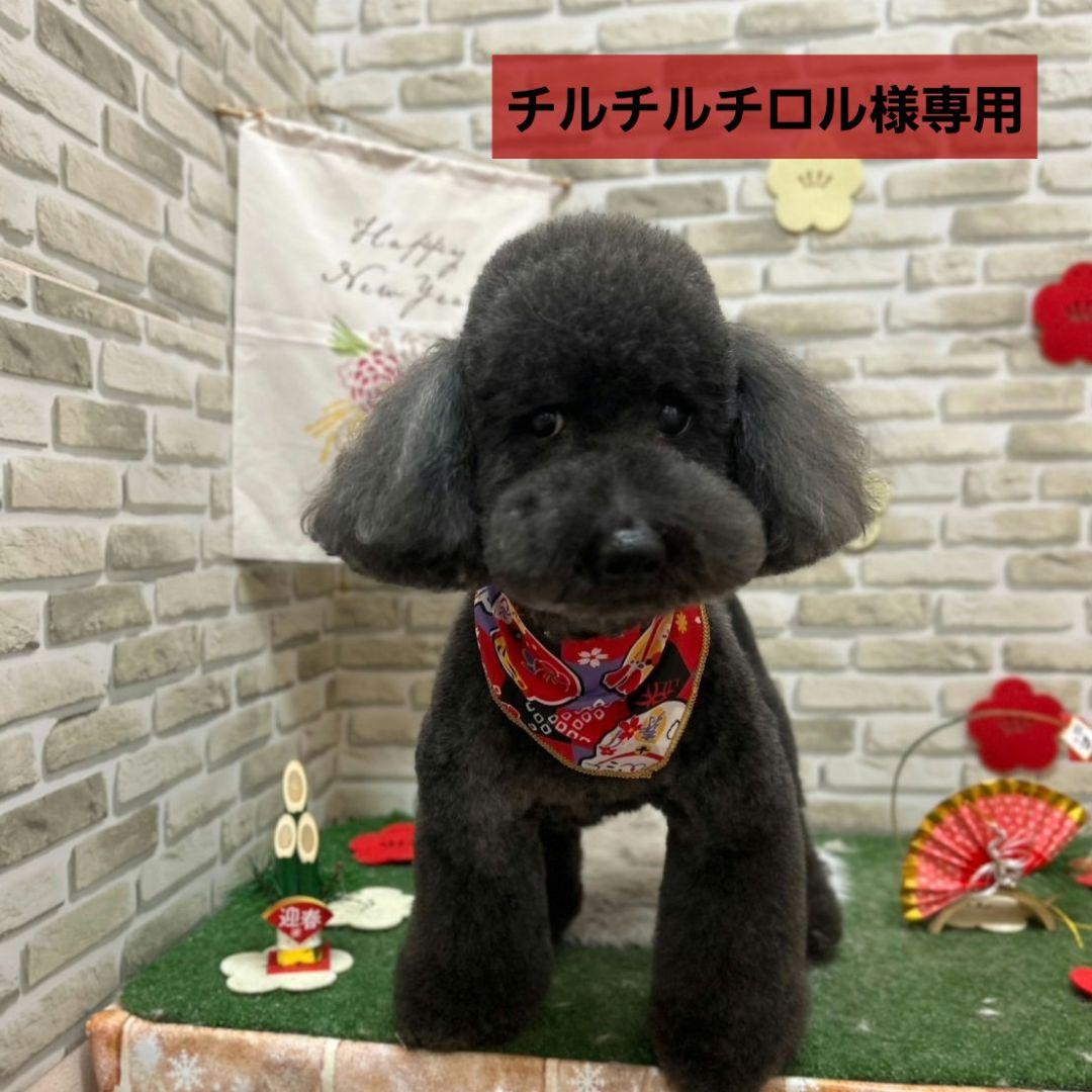 チルチルチロル　犬のおやつ