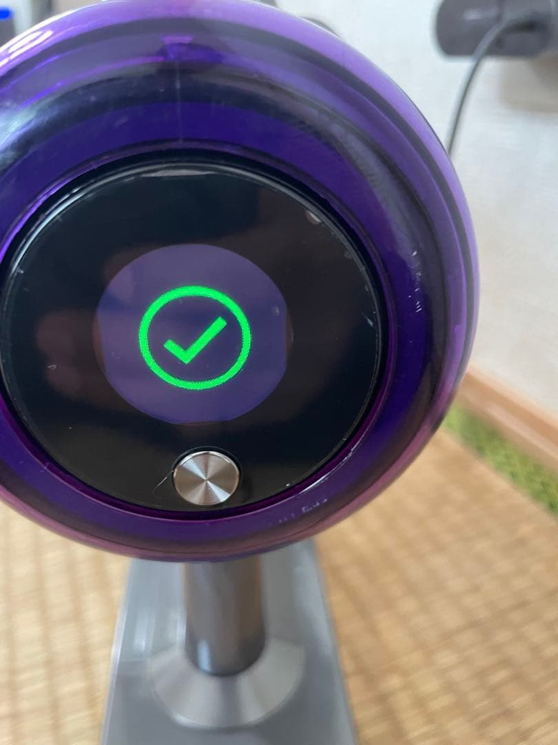 dyson ダイソンsv14