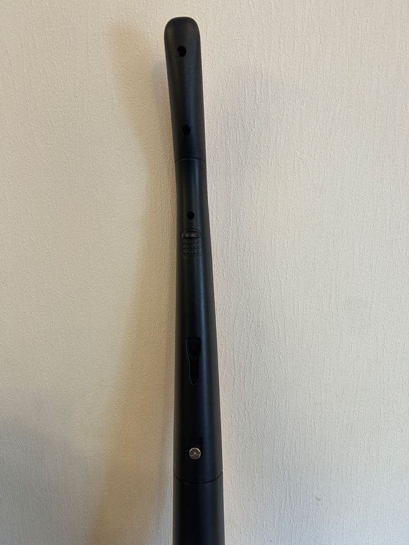 Electroluxエルゴラピードパワープロコードレス掃除機ZB3414AK