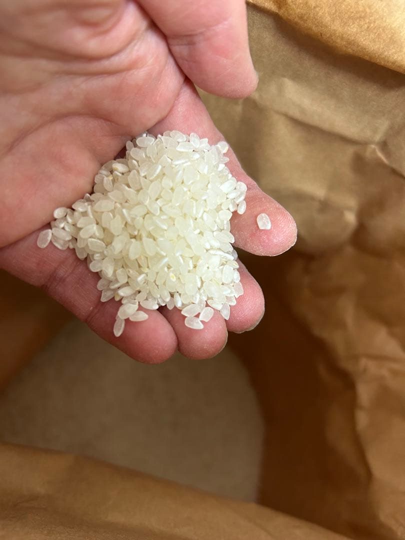 令和７年度産　千葉県成田市産　父の低農薬こしひかり 10kg