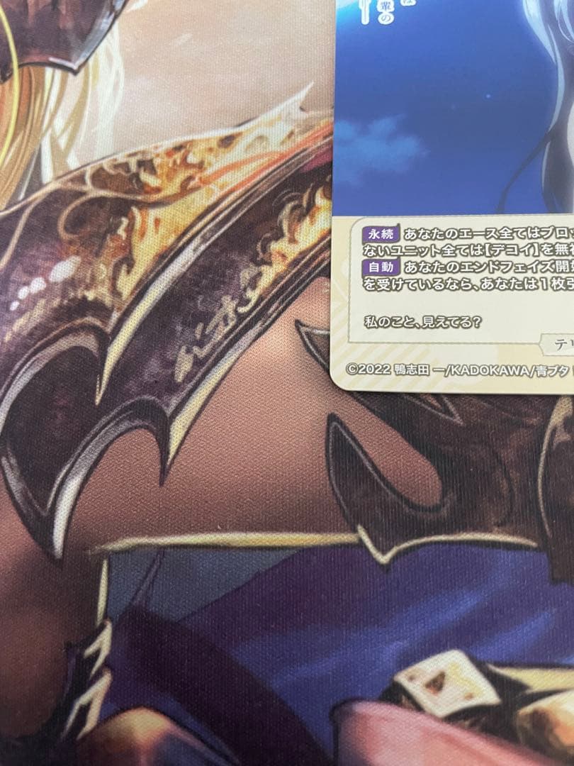 シュレディンガーの兎　桜島麻衣　VT テリトリー　ビルディバイド　青ブタ