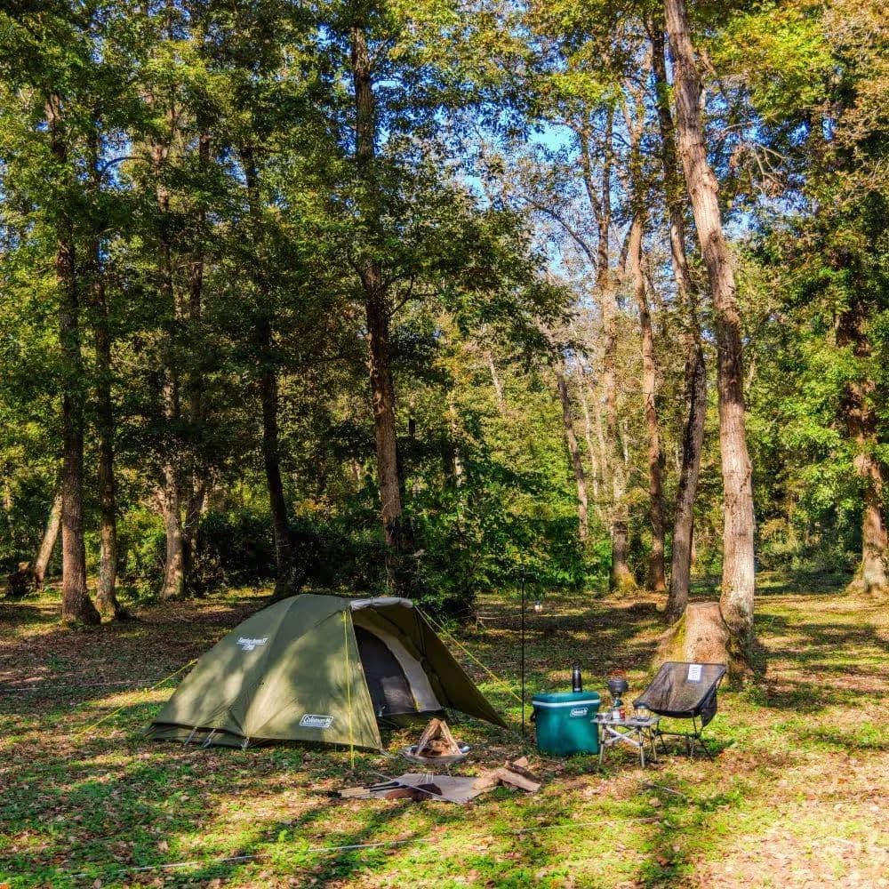 Coleman Touring Dome/ST キャンプテント