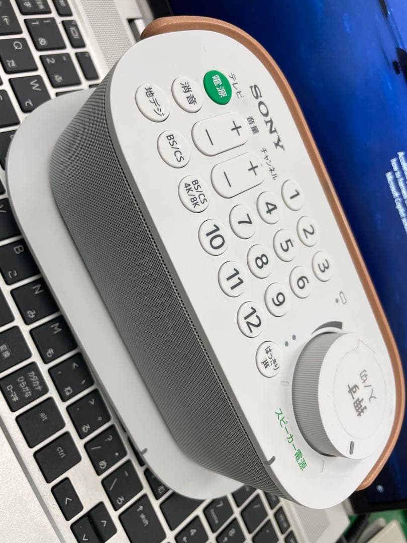 SONY テレビスピーカー SRS-LSR200