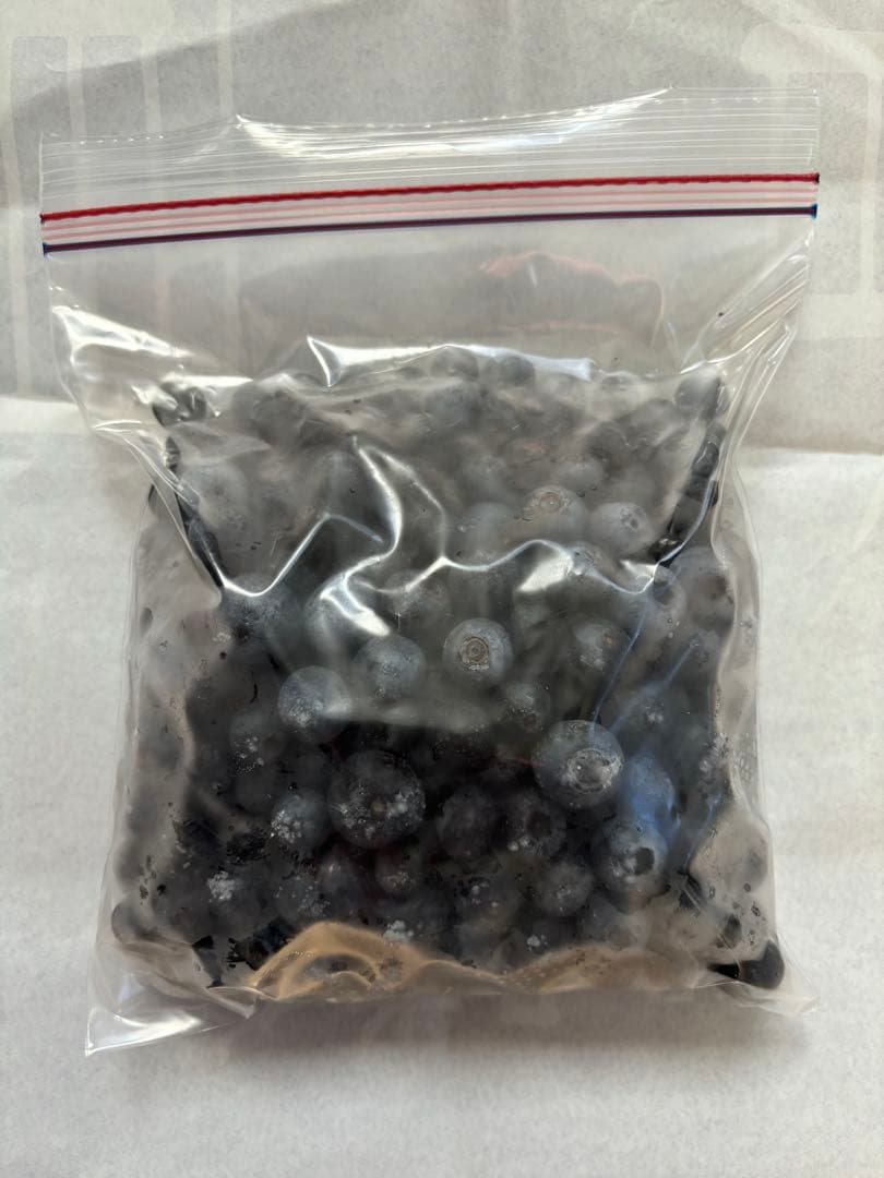 埼玉県産　令和7年度 冷凍ブルーベリー
