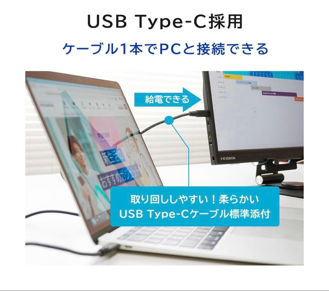 IODATA モバイルモニター 17.3インチ