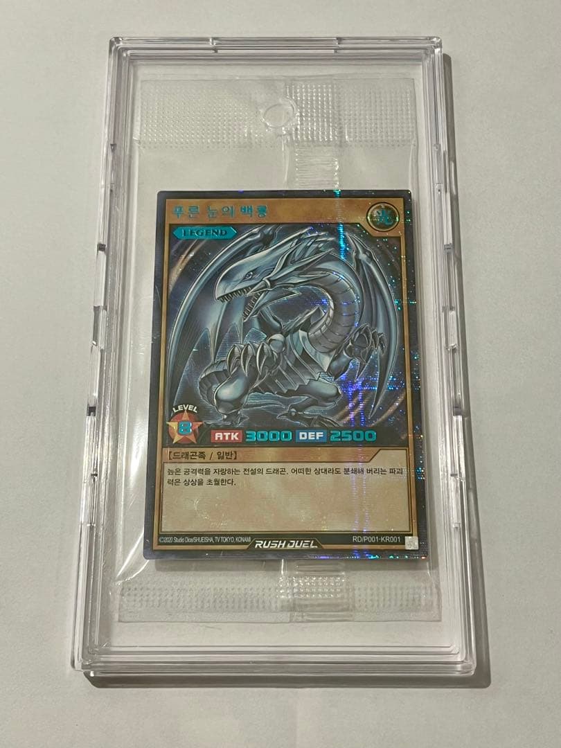 青眼の白龍 푸른 눈의 백룡 Blue