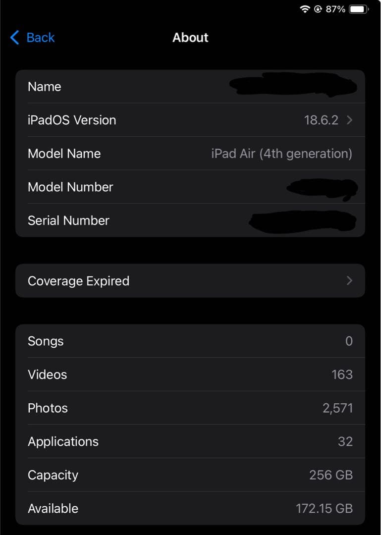 ipad air 第4世代　256GB