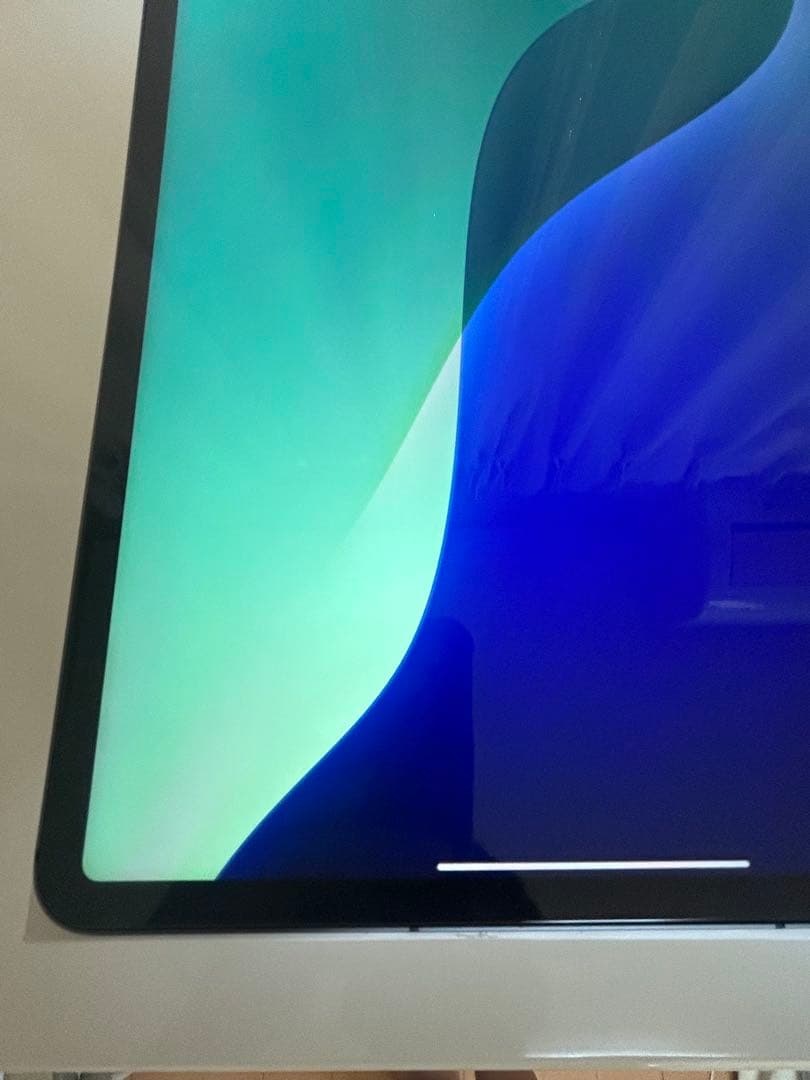 iPad Pro第5世代 12.9インチ 256G