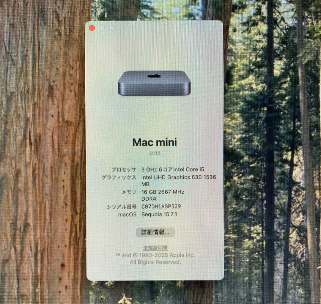 Mac mini 3GHz 6コア Core i5 16GB MXNG2J/A