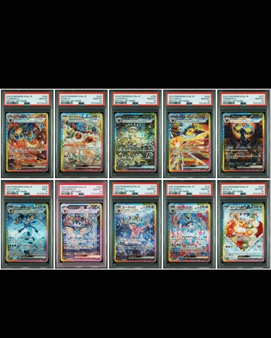 ポケモンカード 2024年 フラエッテ イーブイ 10枚セット