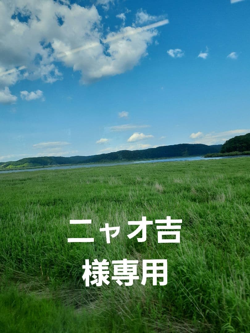 ウージ染め　タペストリー　ウミガメ