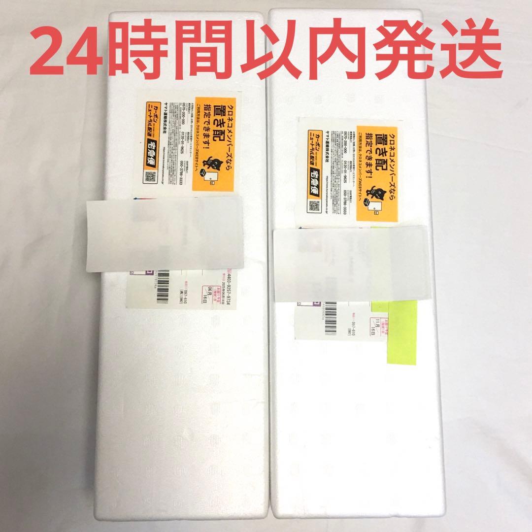 森伊蔵 1800ml 当選品　2025年6月&11月分　2本 未開封