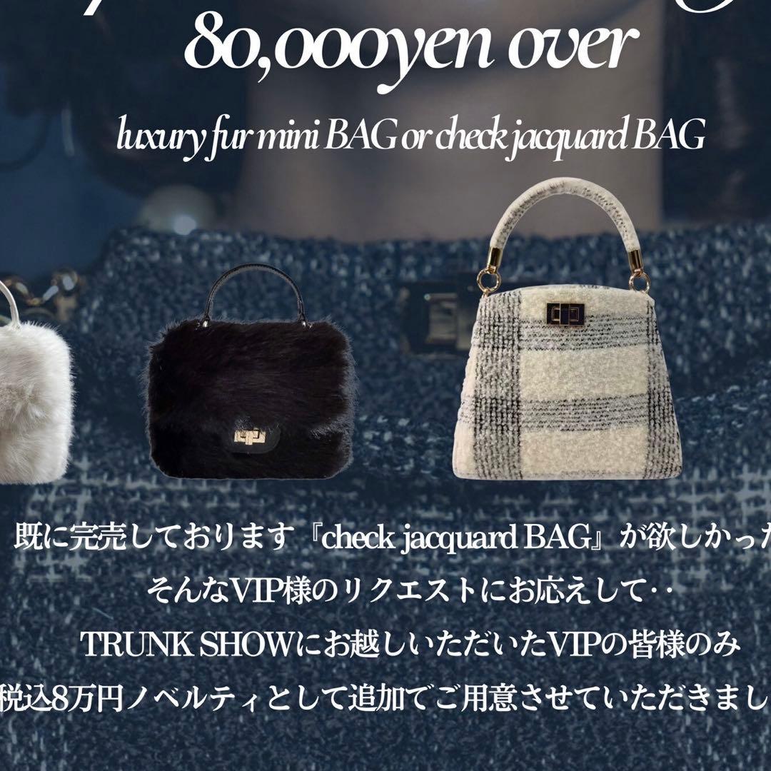 shellerシェリエ ノベルティバッグ