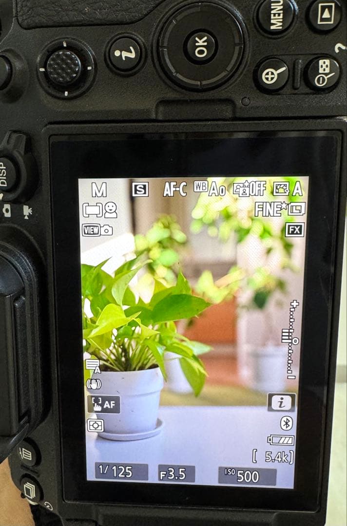 NIKKOR Z 24-70mm f/2.8 S 標準ズームレンズ 大三元