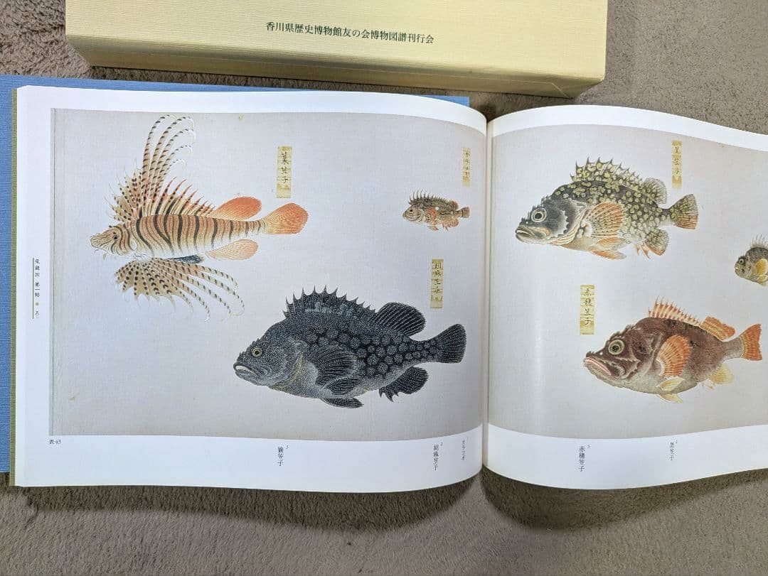 【貴重！美品】高松松平家所蔵　衆鱗図（第一帖〜第四帖）