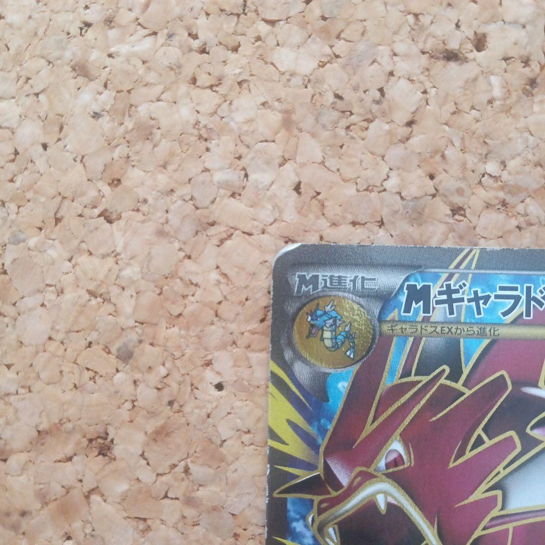 d*7様 MギャラドスEX SR XY9 破天の怒り 082/080