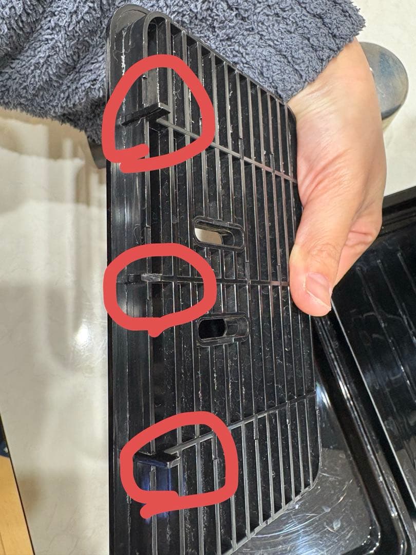 デロンギスティローザ