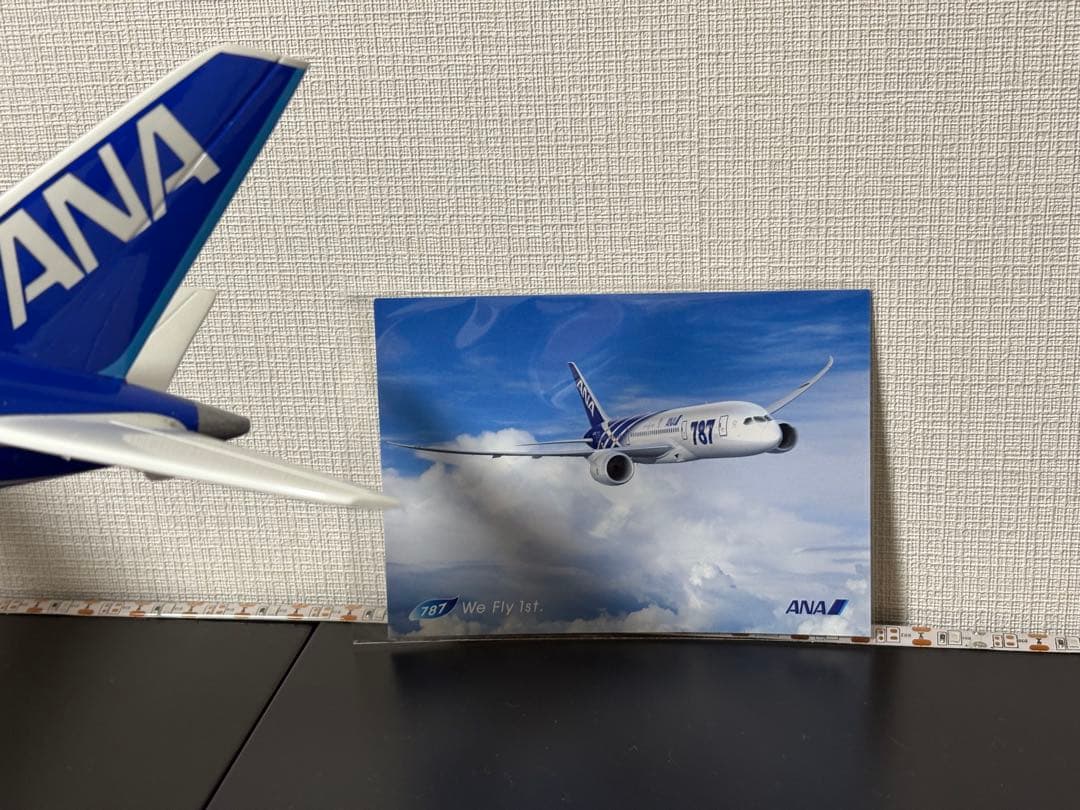 1/130 ANA 全日空 ボーイング787 ダイキャスト 特別塗装 約42cm