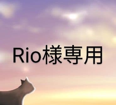 Rioページです。