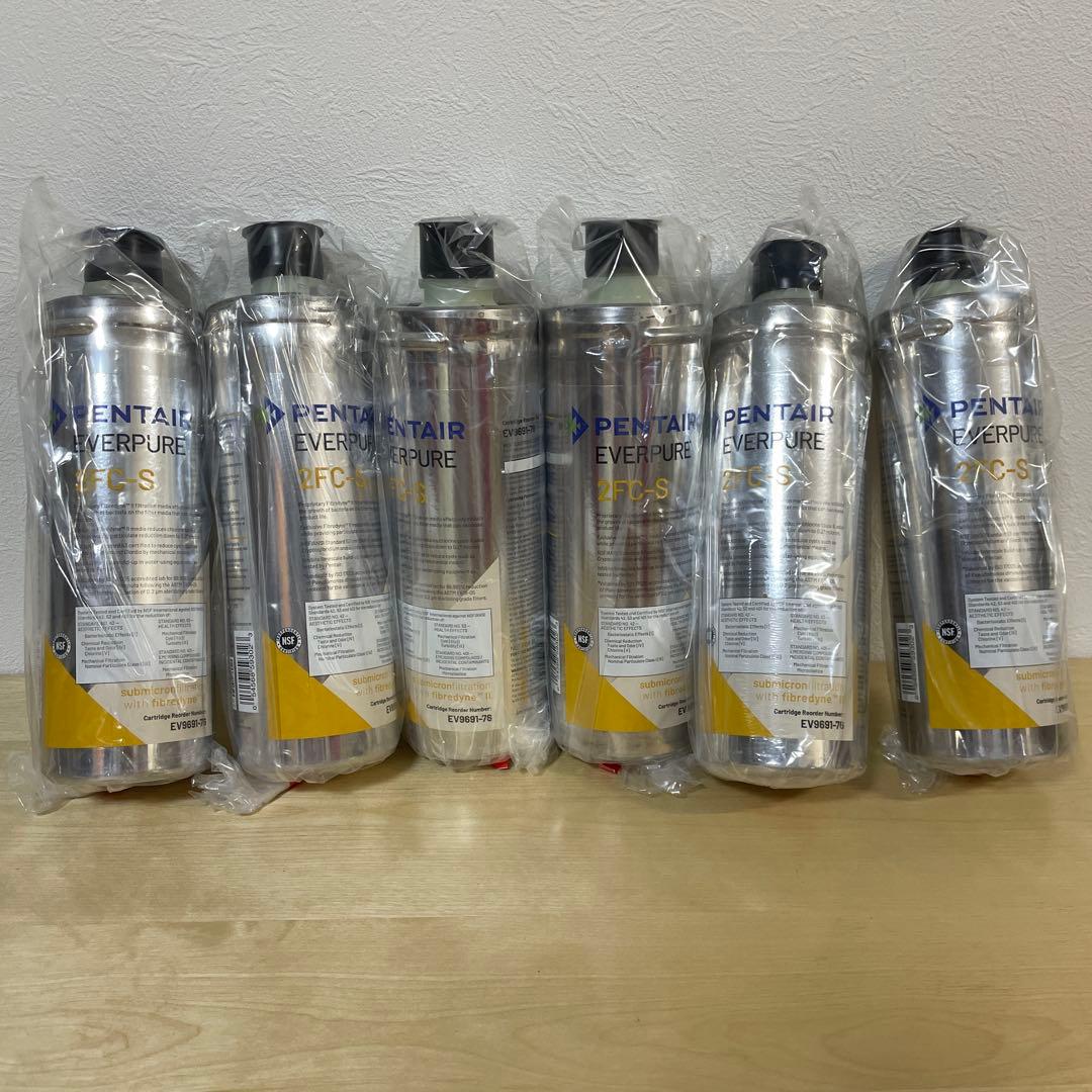 Pentair Everpure 2FC-S 浄水器カートリッジ 6個セット