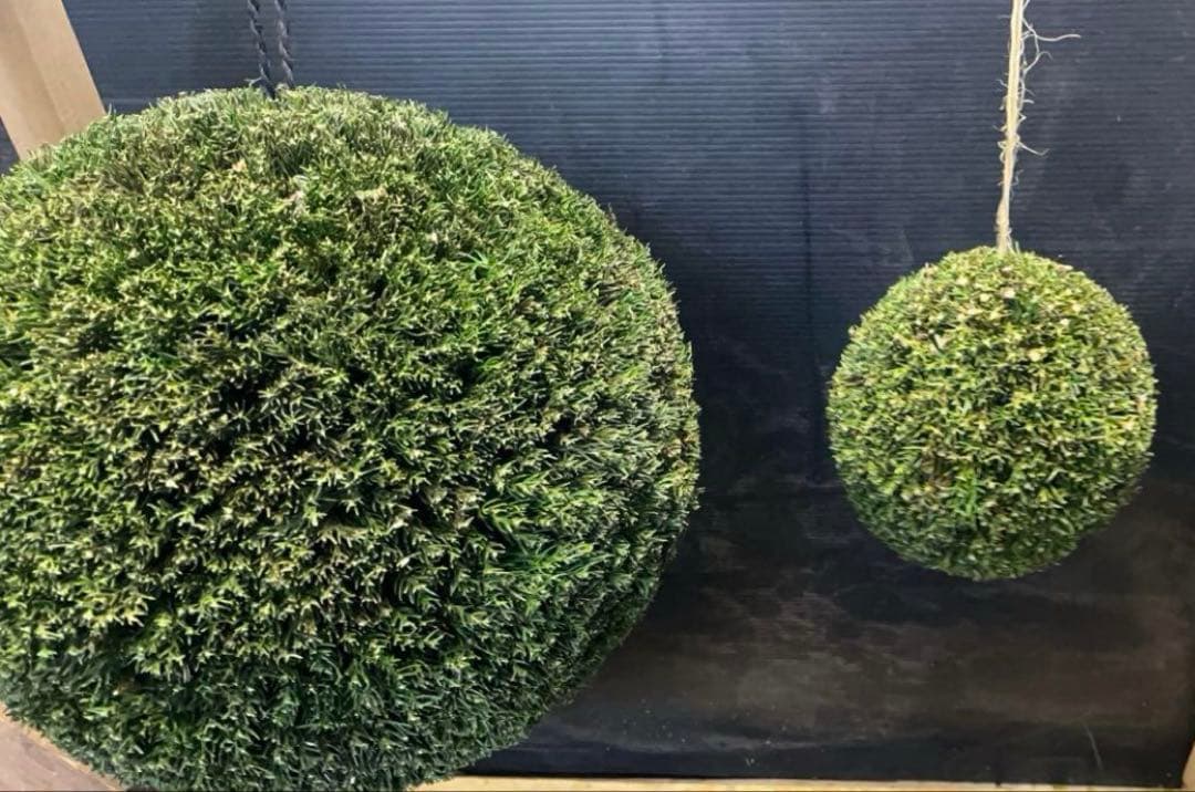 杉玉　約40センチ　屋根付き ‼️お客様ご注文品♪