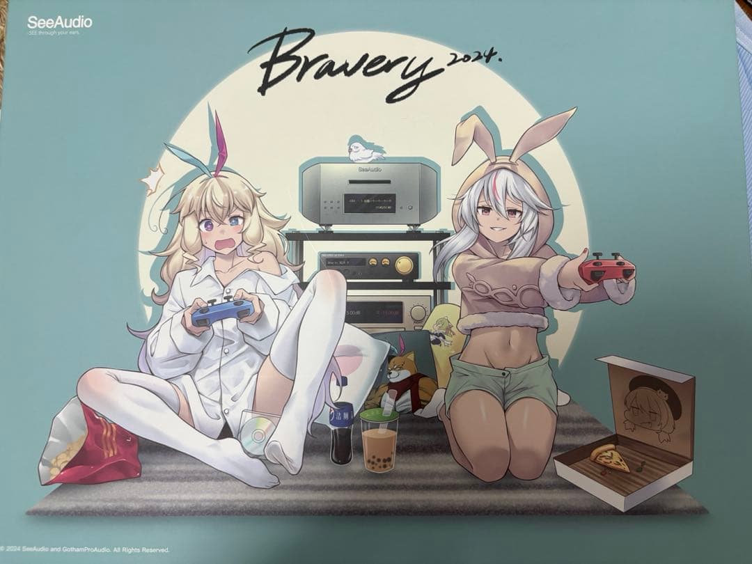 イヤホン SeeAudio Bravery 24