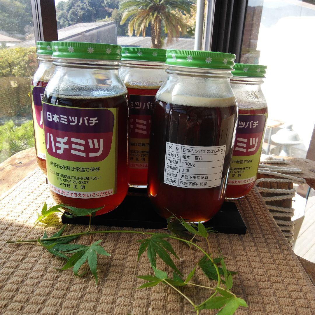 日本ミツバチハチ日本ミツバチのはちみつ ミツ 100g