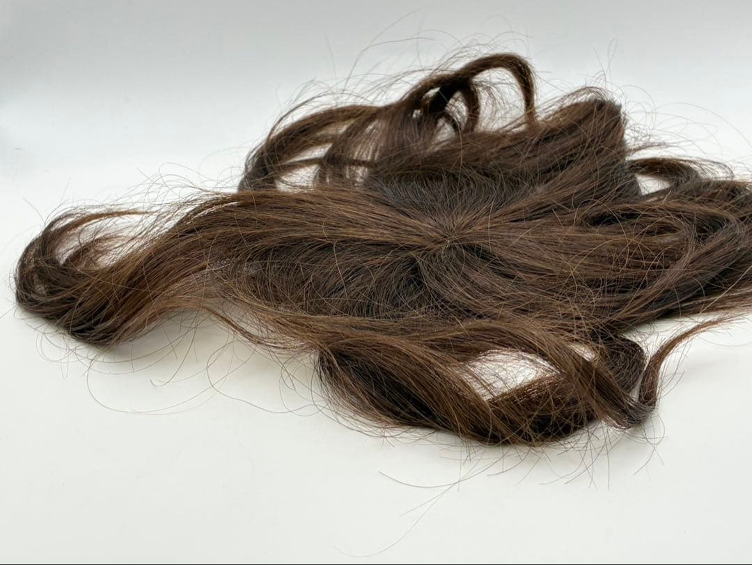 【美品】ジュリアオージェ クロスフリー ウィッグ チャ 人毛100％ 59558