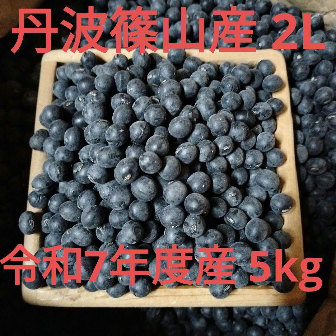 丹波篠山農協産 2L黒豆 5キロ 令和7年度新物