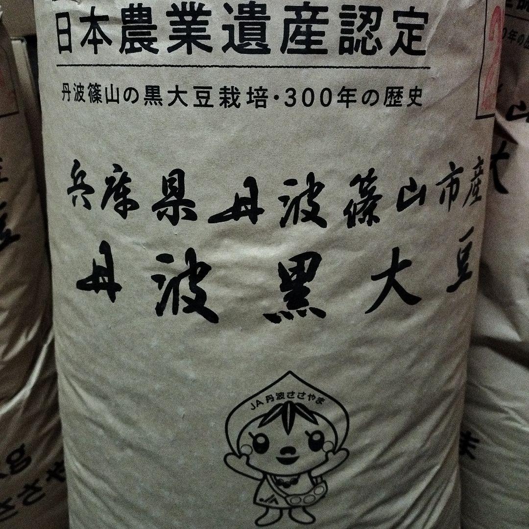 丹波篠山農協産 2L黒豆 5キロ 令和7年度新物