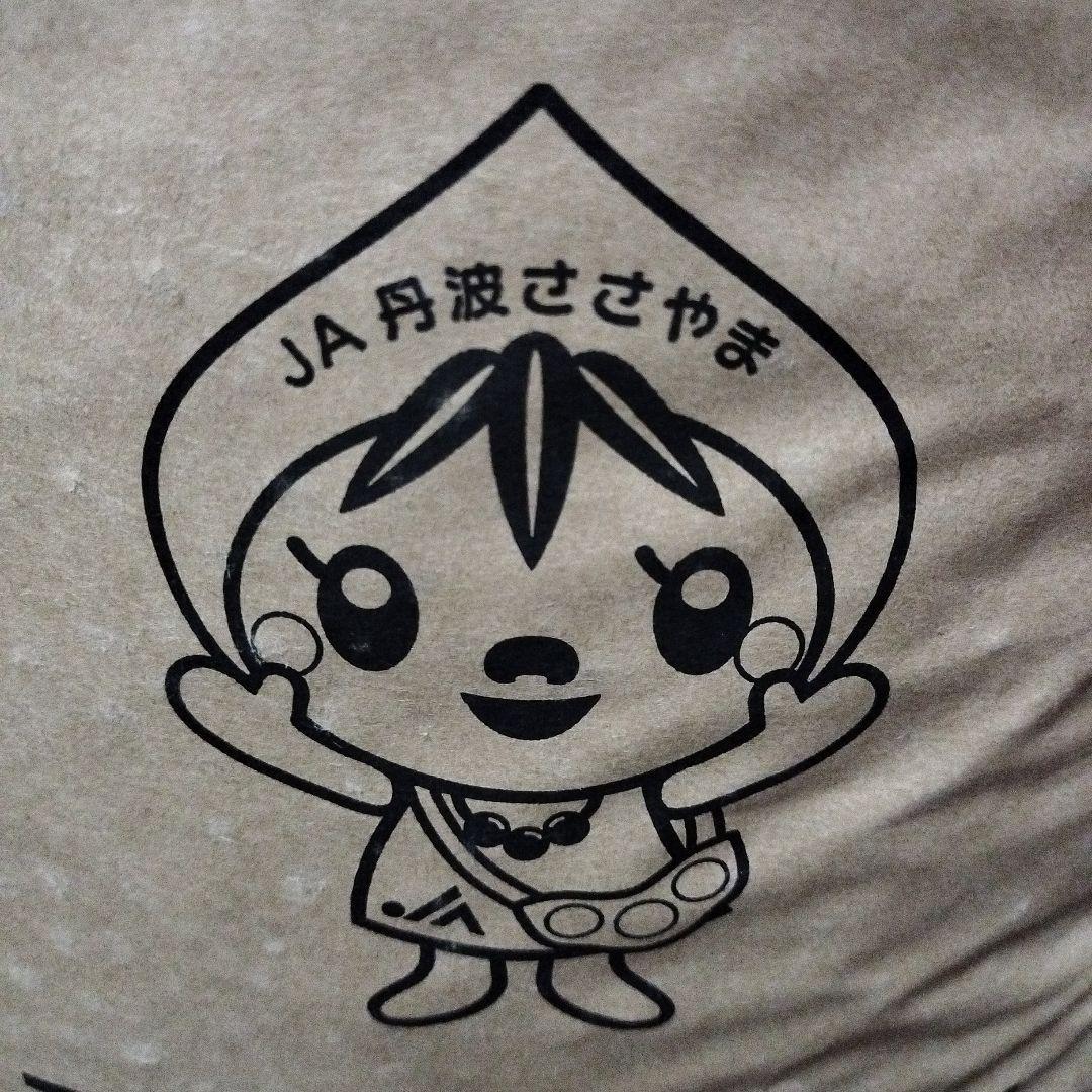 丹波篠山農協産 2L黒豆 5キロ 令和7年度新物