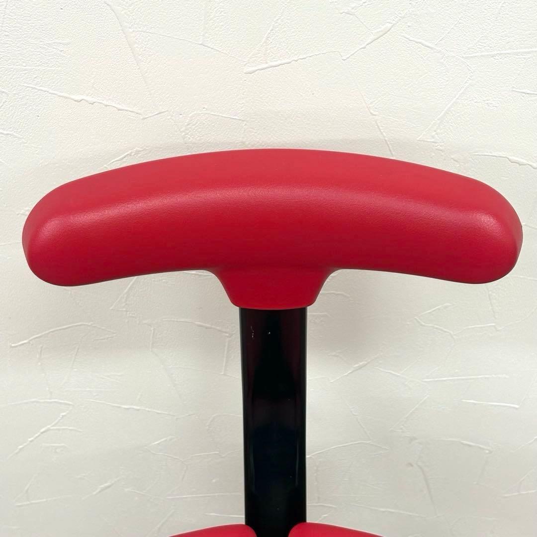 ayur chair アーユルチェア オクトパス 体圧分散マット付 レッド