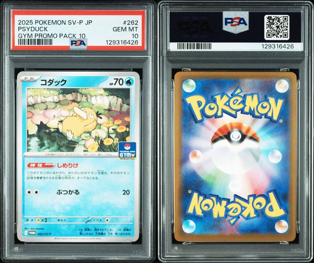 psa 10 コダック #262/sv-p しめりけ