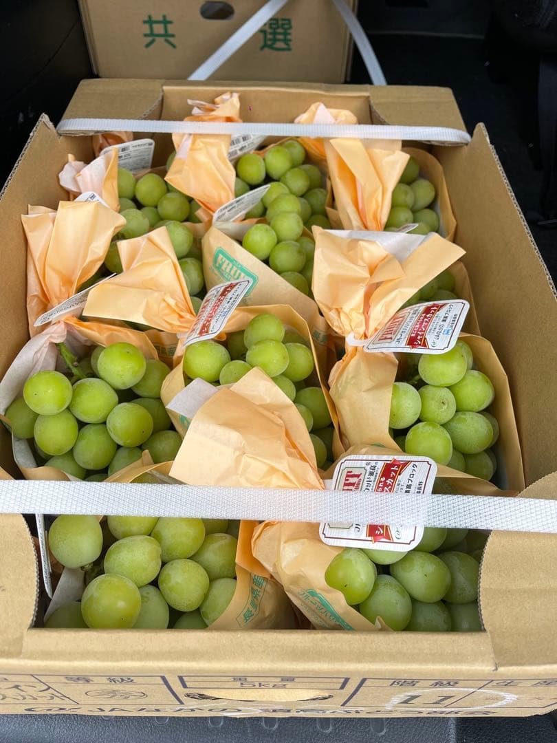 メルカリ限定　シャインマスカット6〜11房5キロ　高級品質