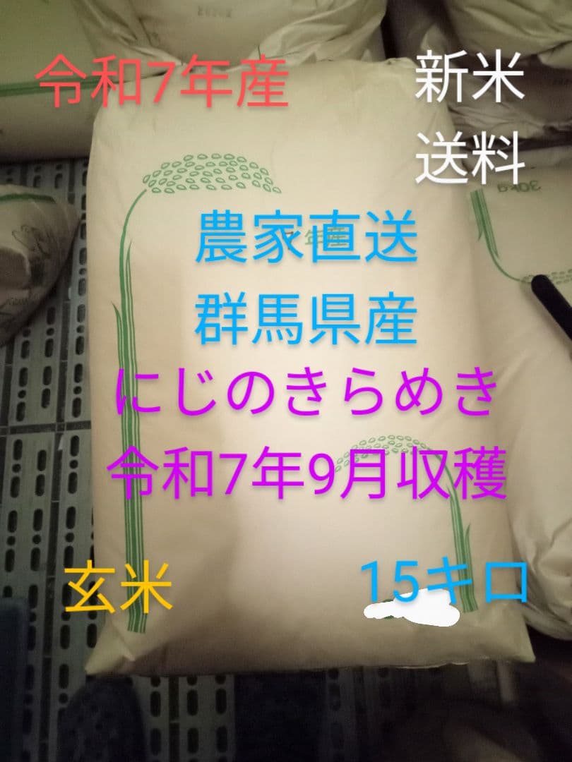 R7年産 新米 群馬県産 にじのきらめき 15キロ 玄米 送料込 15kg ②