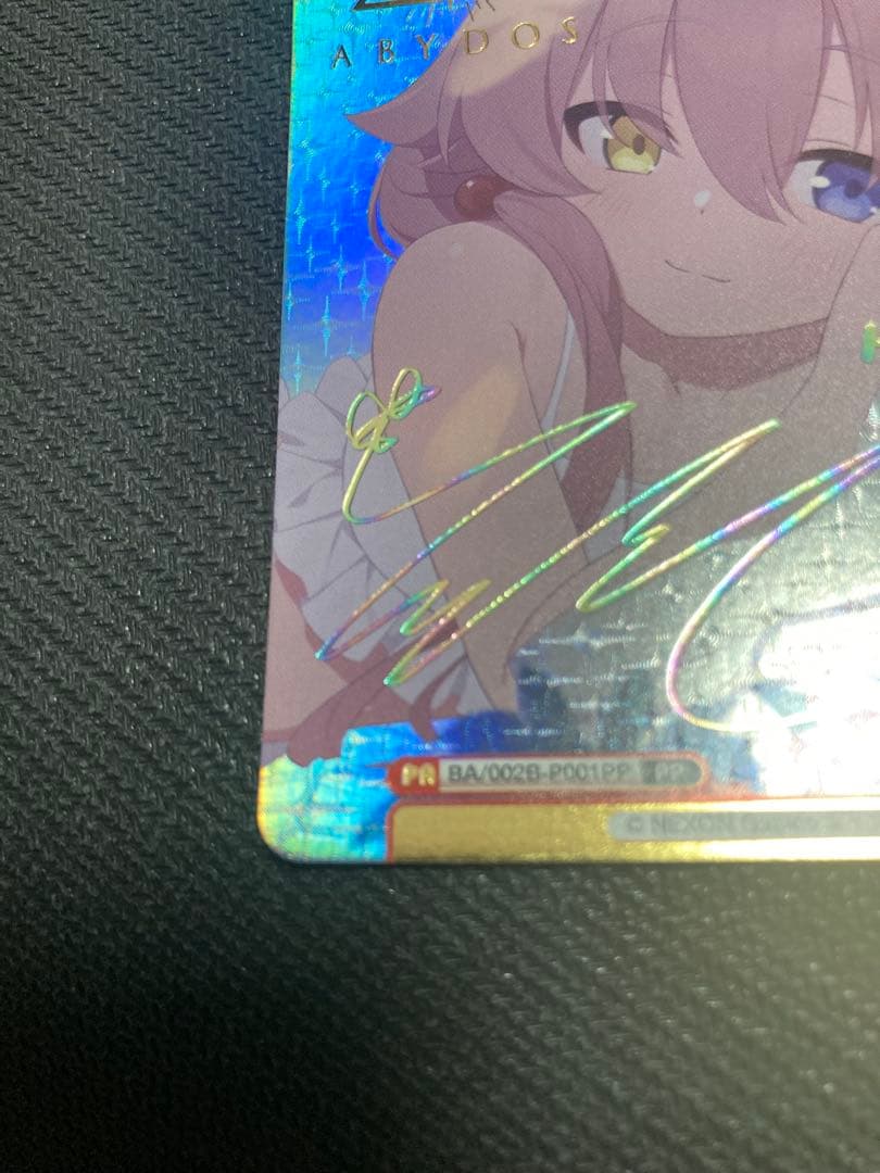 K*ぎ様 ホシノ(水着) PP ブルーアーカイブ　Reバース ブルアカ