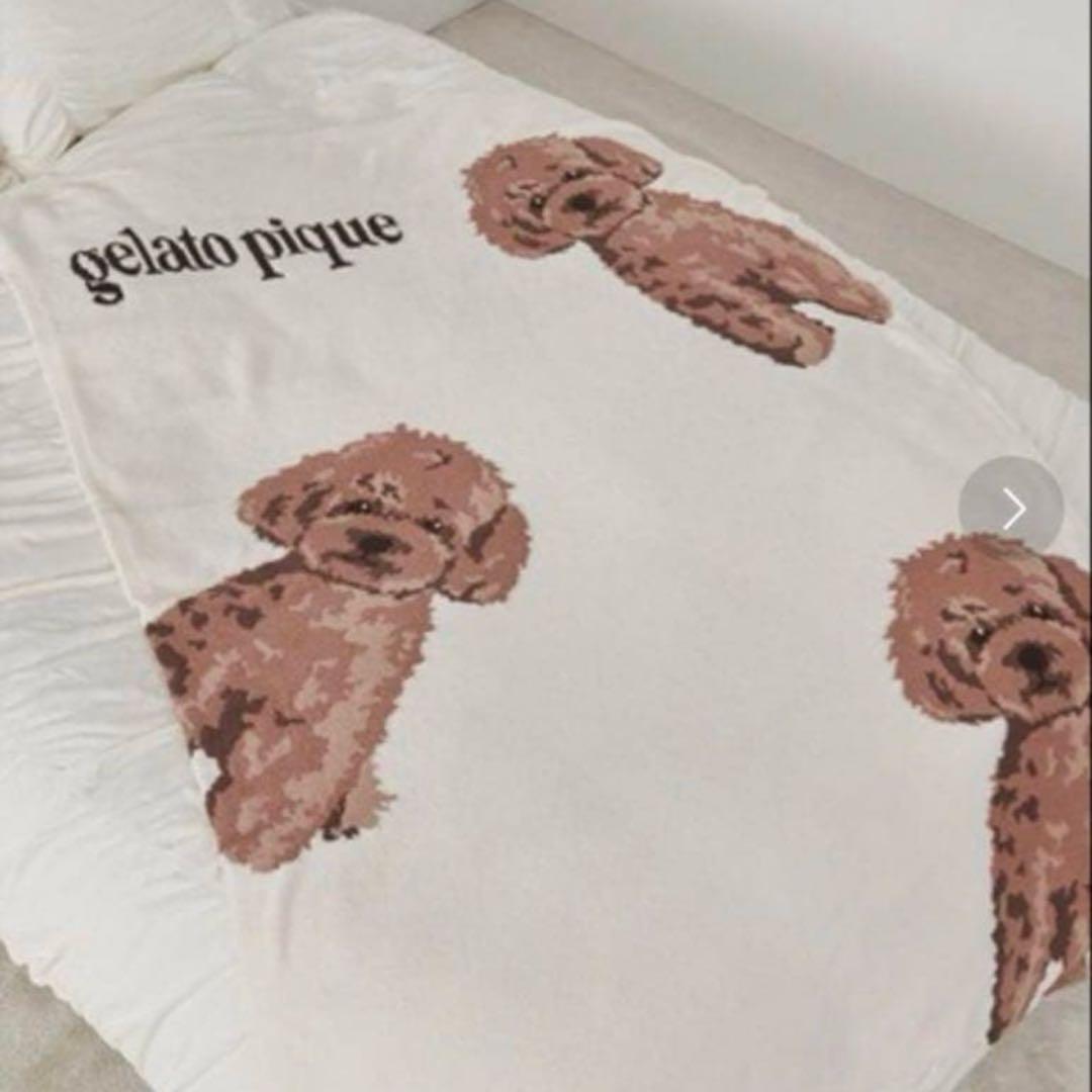 gelato pique パウダーdog ジャガード　マルチカバー　トイプードル
