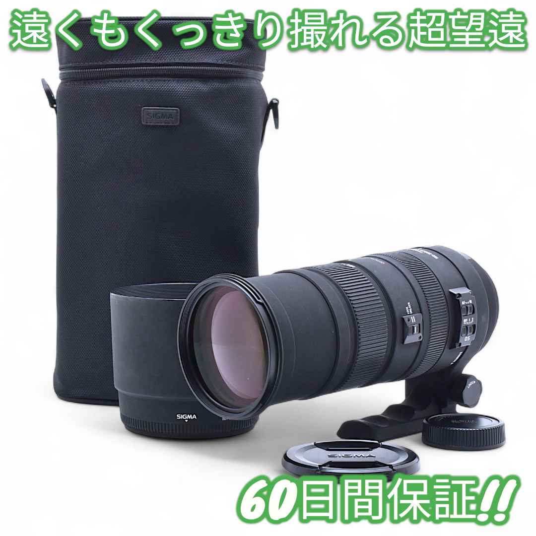 レンズ(ズーム) Sigma APO 150-500mm F5-6.3 DG OS Nikon