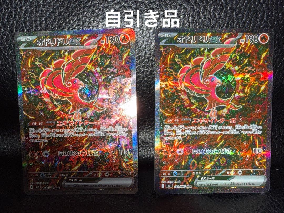 オドリドリ 2枚セット SAR