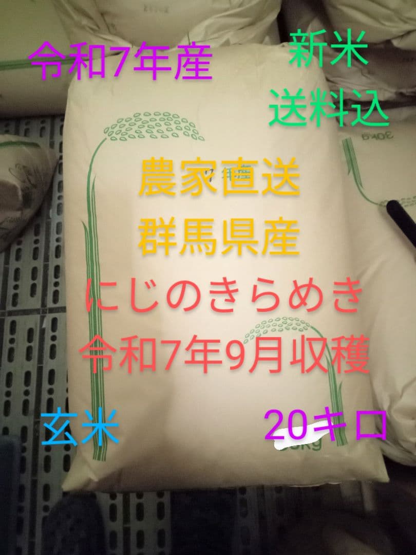 R7年産 新米 群馬県産 にじのきらめき 20キロ 玄米 送料込 ②