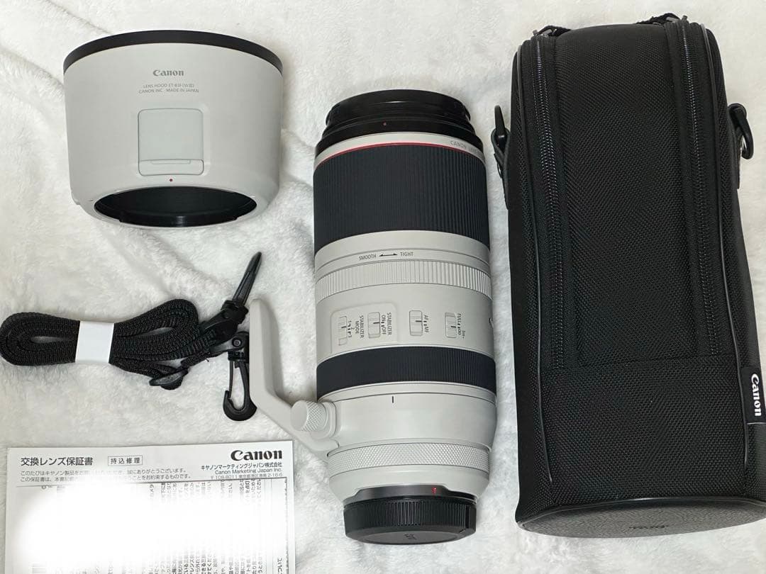 canon RF100-500 mm F4.5-7.1 L IS USMレンズ