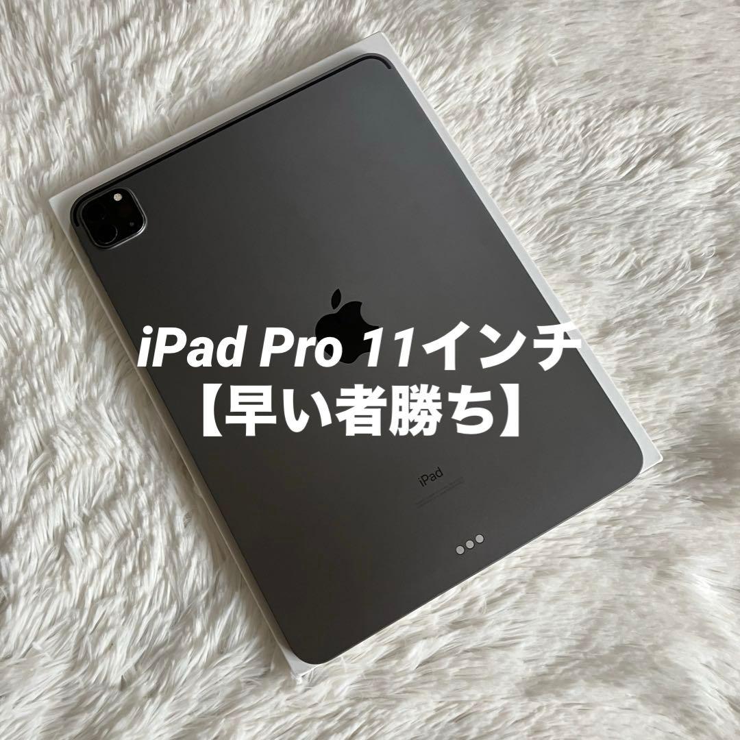【早い者勝ち】iPad Pro 11インチ 第2世代 256GB 【すぐ発送】