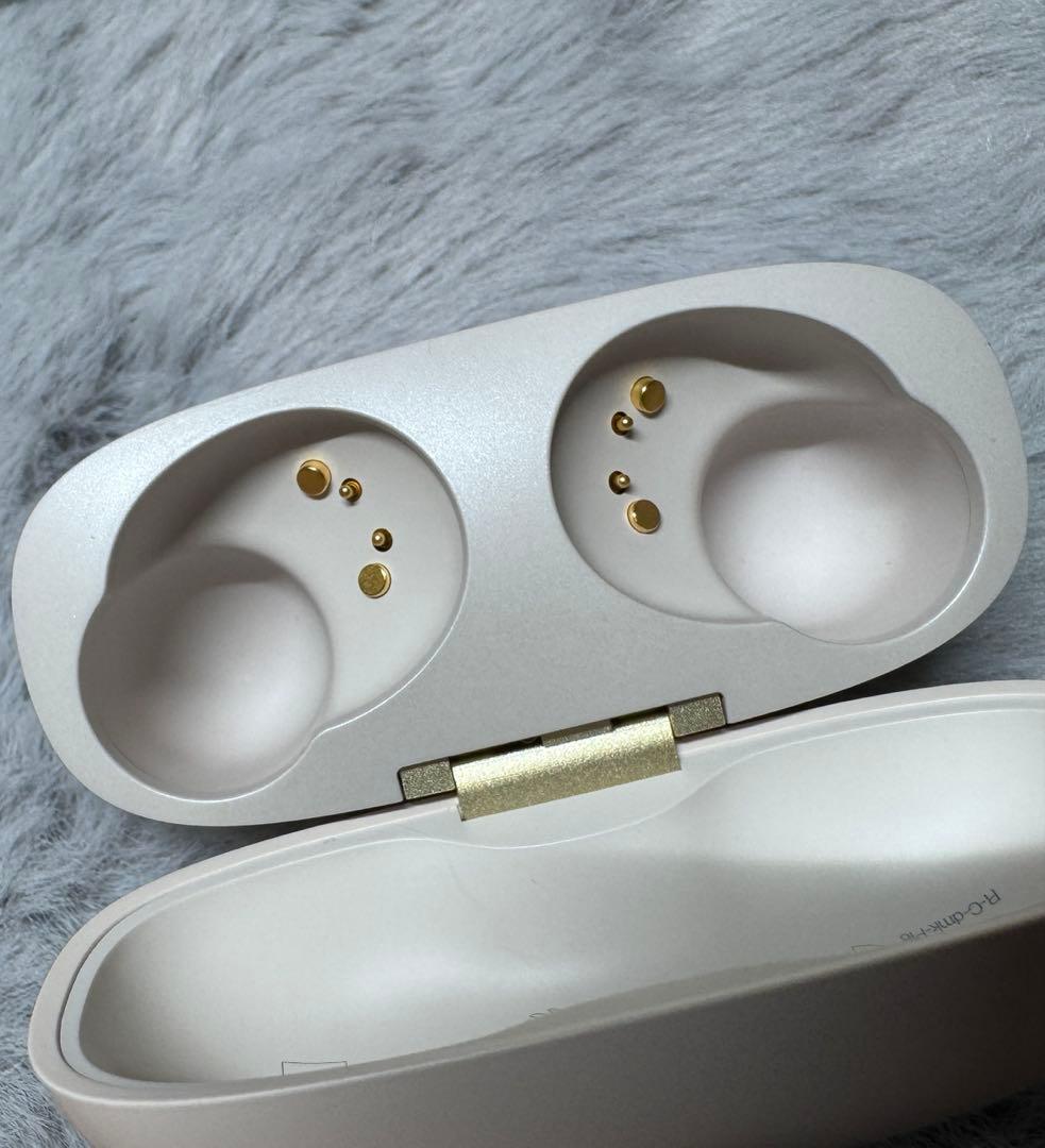 【美品】Bowers & Wilkins Pi8 DW／radius イヤピ付き