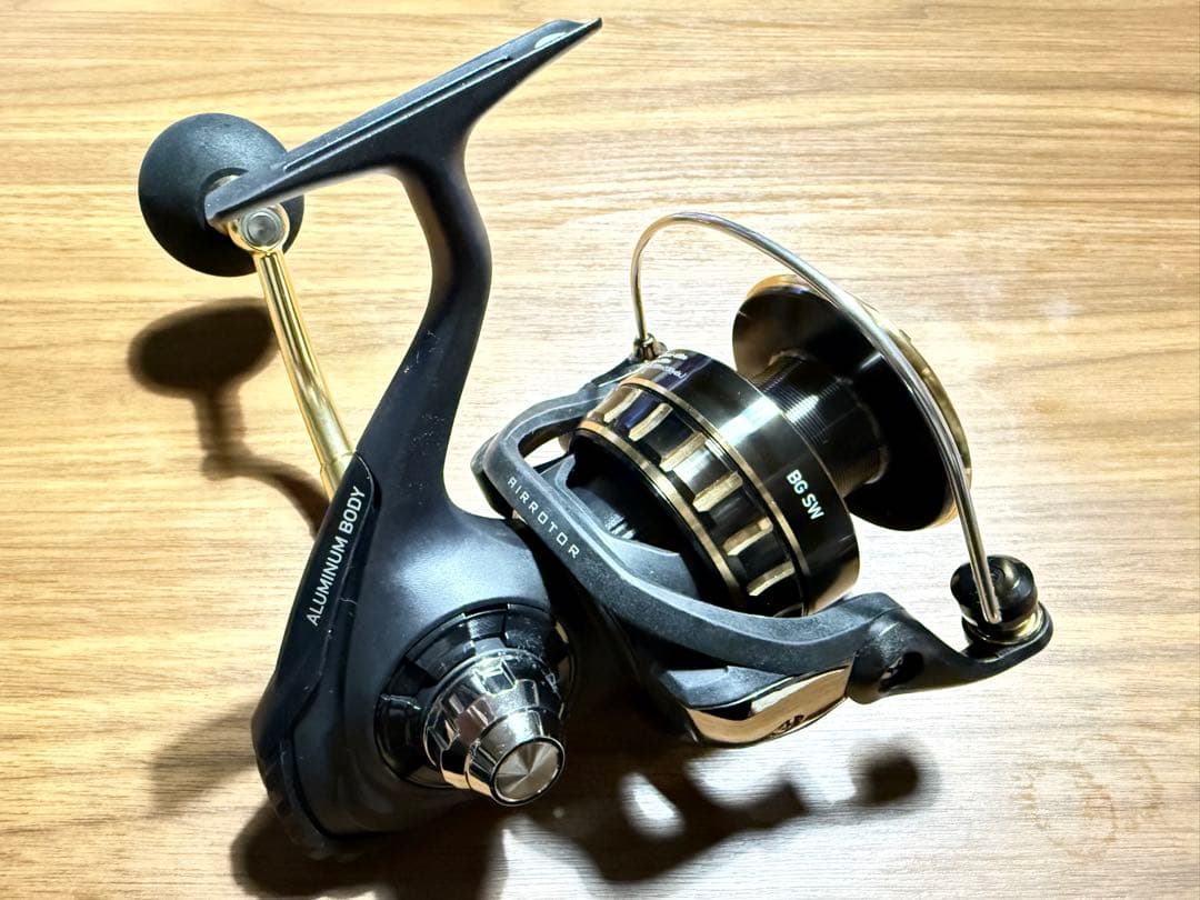 ダイワ 23BG SW 10000-H