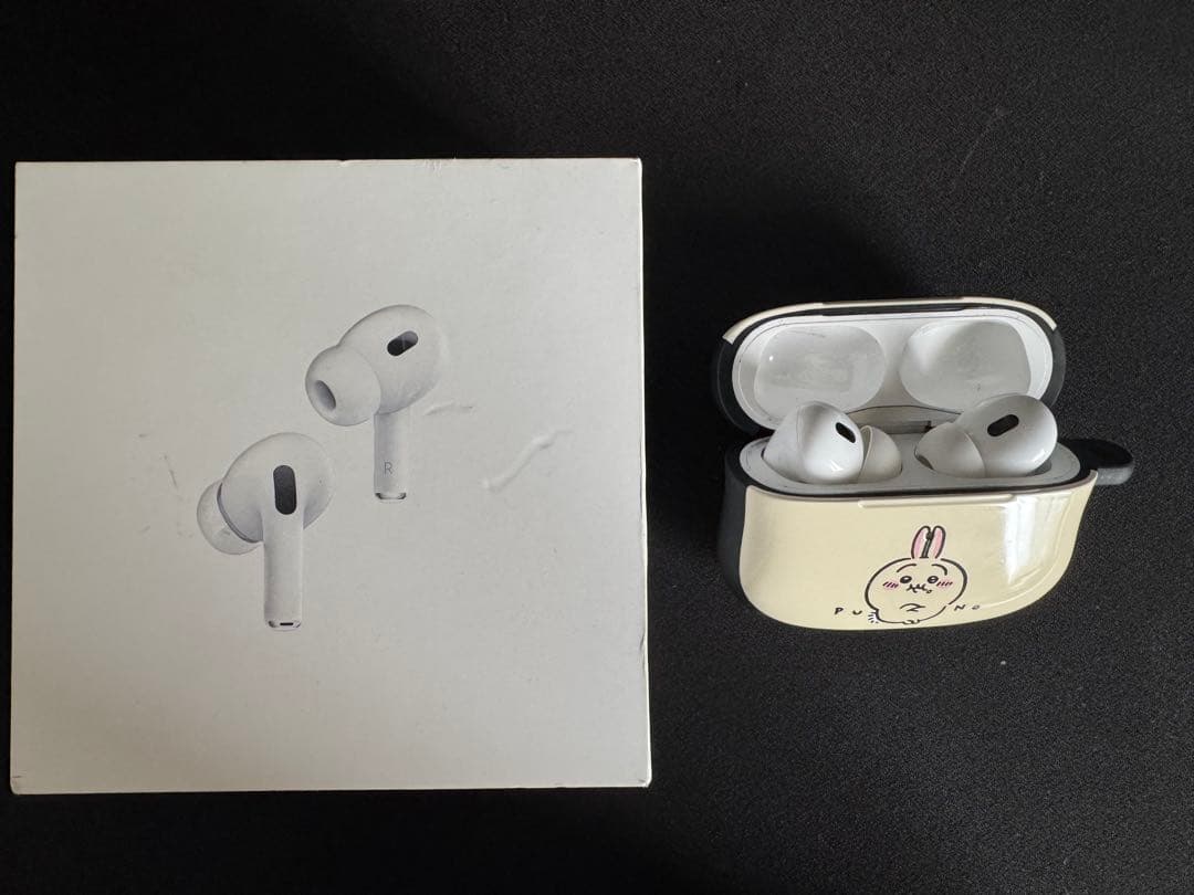 AirPods Pro 2 (USB-C) 本体 ケース付き